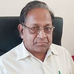 principal principal